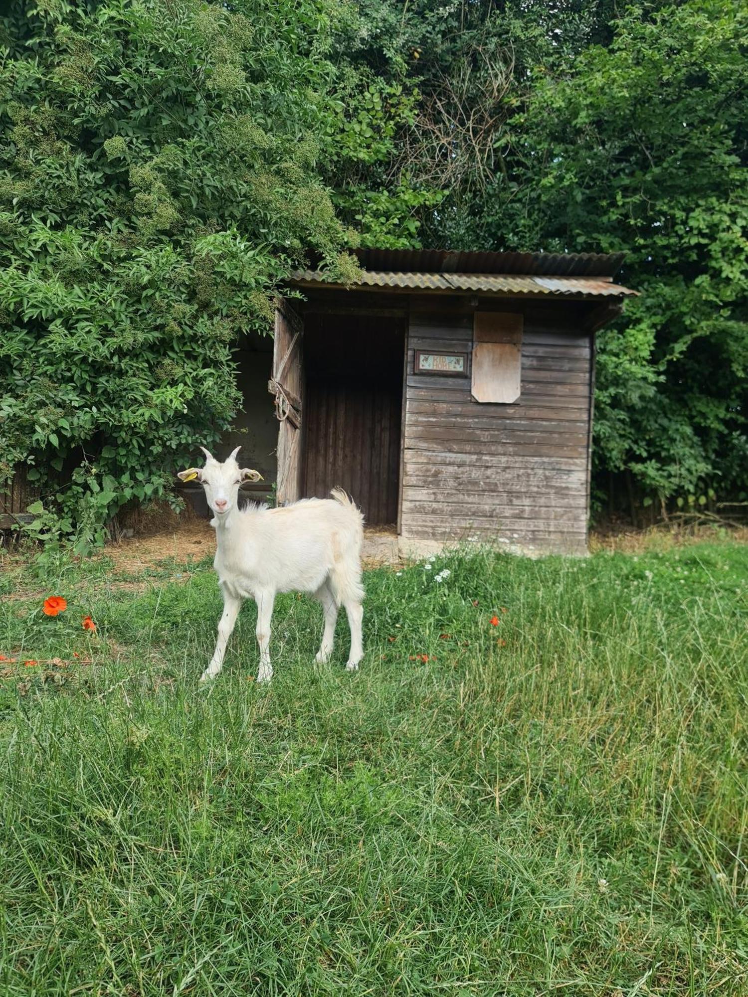 Вилла Chambre A La Ferme, Les Vergers Du Muscardin Breel Экстерьер фото